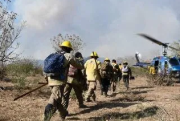 Al menos 15 brigadistas heridos durante combate a incendio en La Primavera