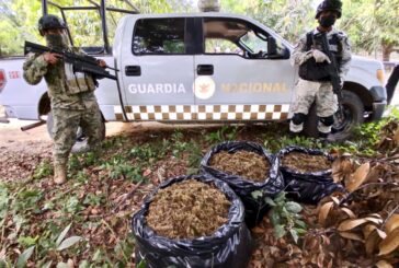 Guardia Nacional asegura droga en Tomatlán