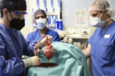 Trasplante de corazón cerdo a humano, ¿Qué riesgos implica un 