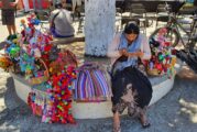 Se recupera el comercio de artesanías en Sayulita