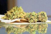 Corte declara inconstitucional penalizar posesión de más de 5 gramos de marihuana ￼